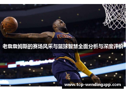 老詹詹姆斯的赛场风采与篮球智慧全面分析与深度评价