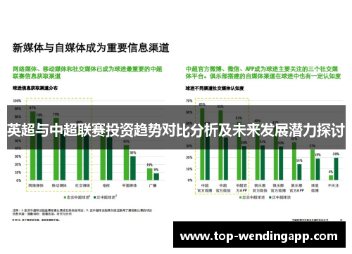英超与中超联赛投资趋势对比分析及未来发展潜力探讨 英超与中超联赛投资趋势对比分析及未来发展潜力探讨