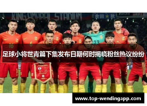 足球小将世青篇下集发布日期何时揭晓粉丝热议纷纷