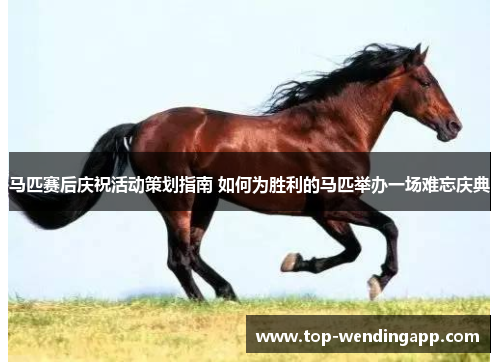马匹赛后庆祝活动策划指南 如何为胜利的马匹举办一场难忘庆典