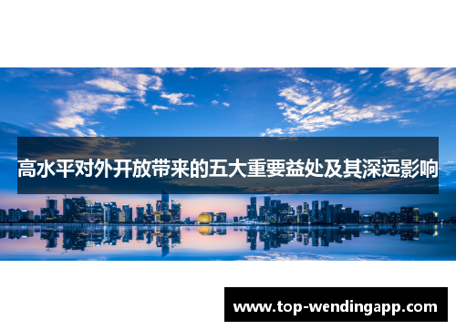 高水平对外开放带来的五大重要益处及其深远影响